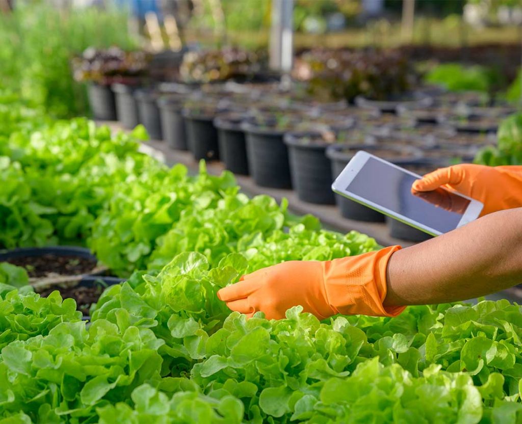 Value chain farmlogics technologies pvt ltd